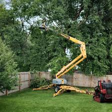 Best Commercial Tree Services  in Delavan, WI