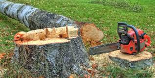 Best Tree Removal Service  in Delavan, WI